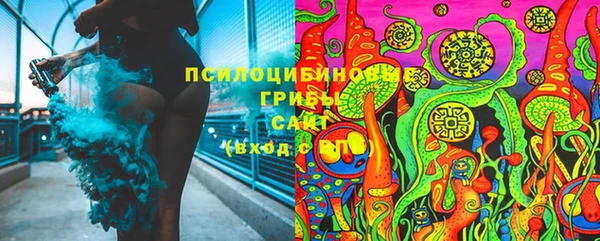 прущая мука Алзамай